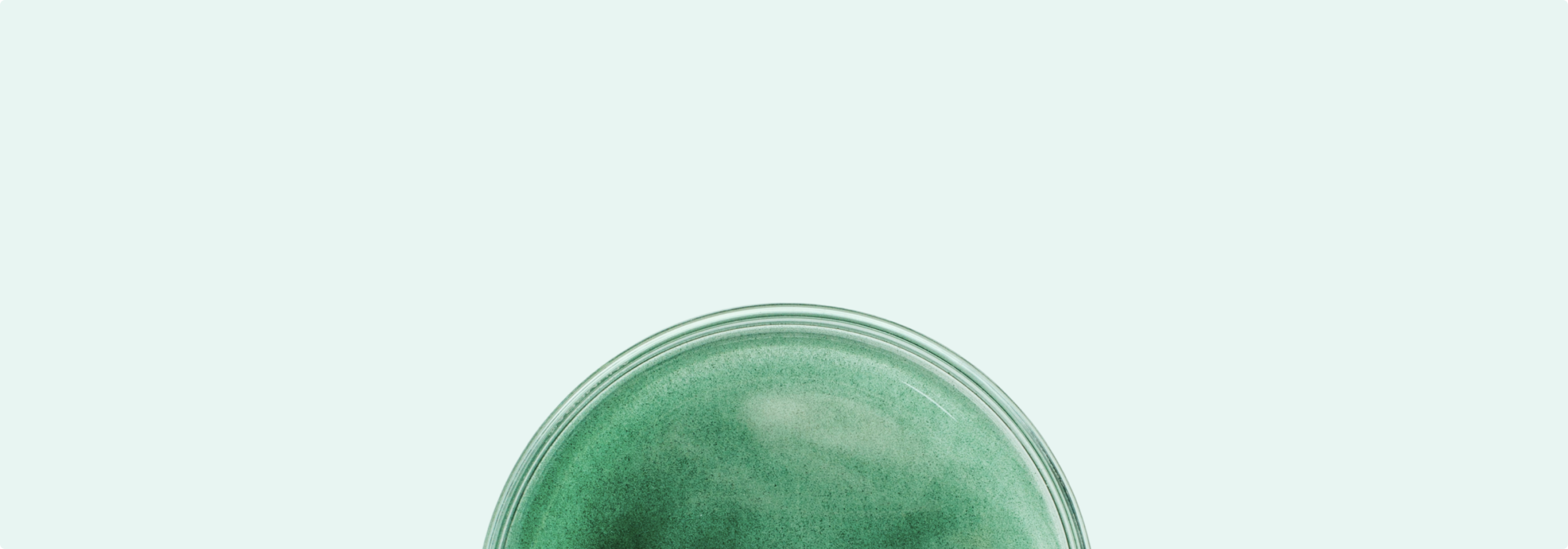 Anti-Age & Resource